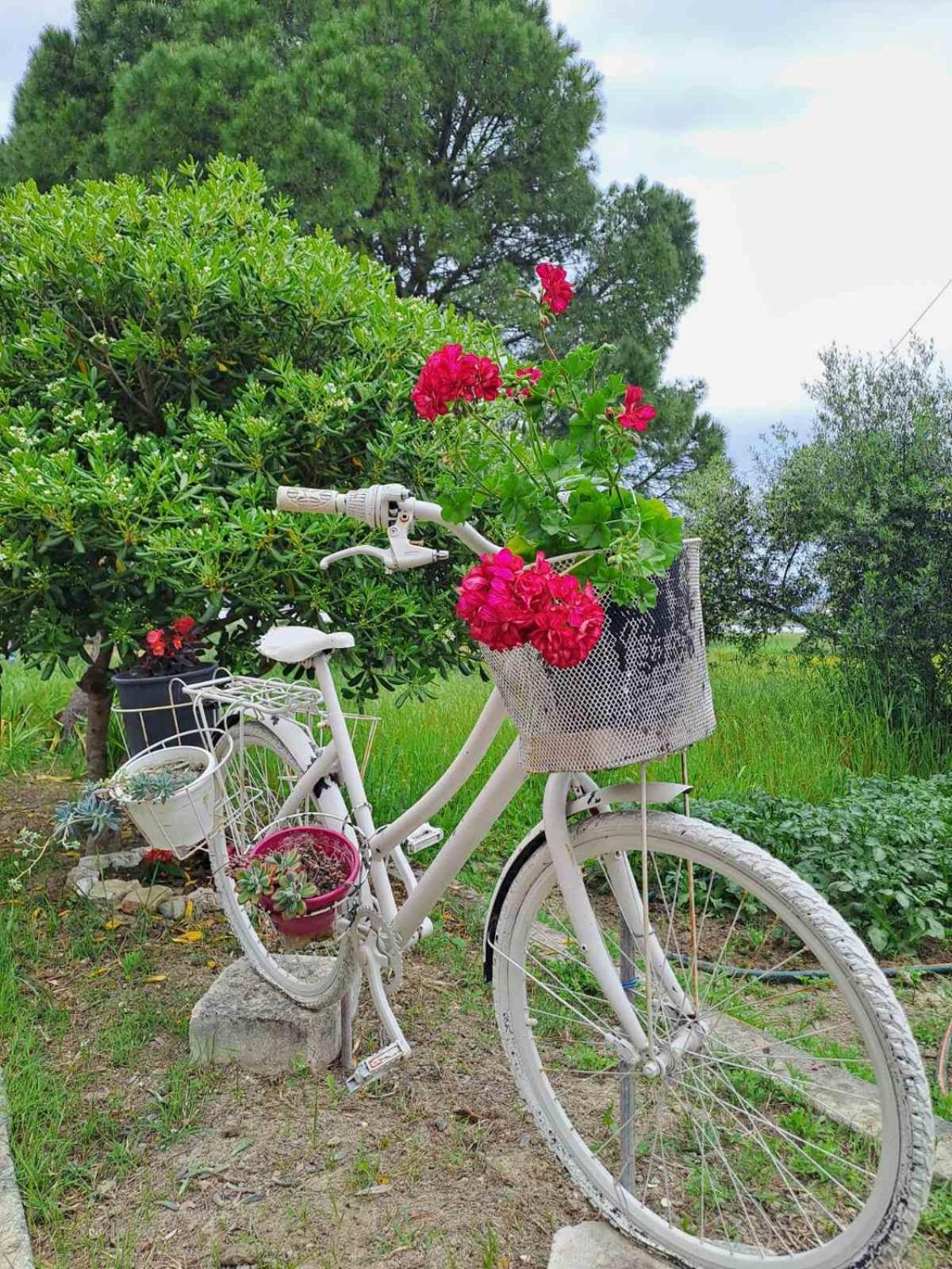 Corfu Lakeside Cottage Kanoni  Zewnętrze zdjęcie